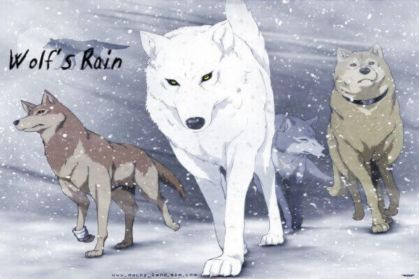 wolf's rain anime