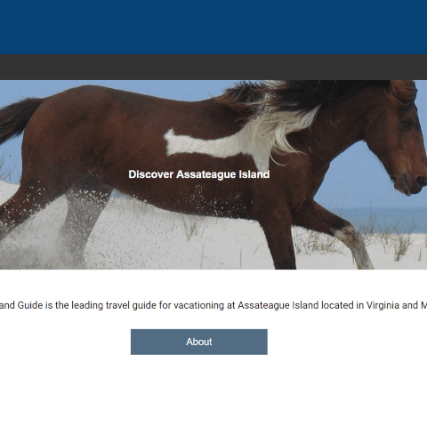 assateague Island Guide home page